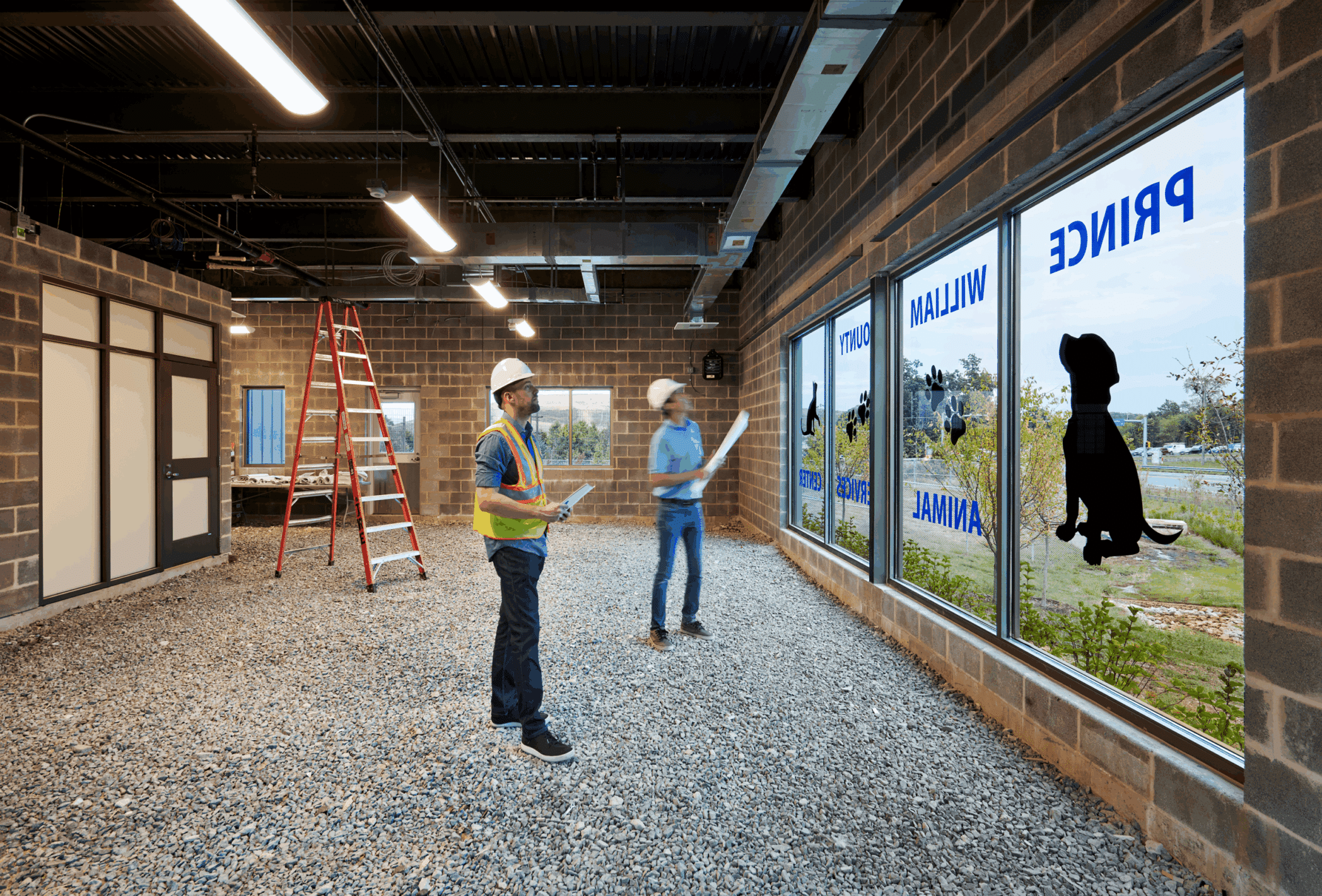 Animal Shelter